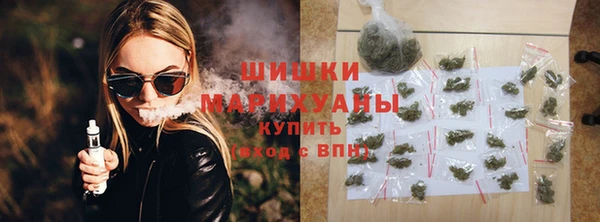 сатива Костерёво