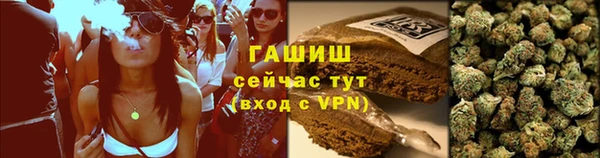 сатива Костерёво