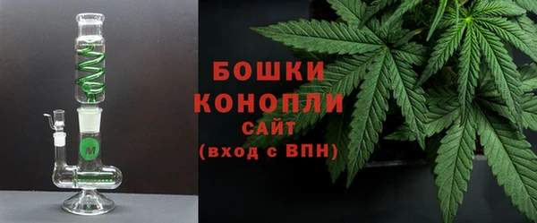 сатива Костерёво