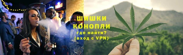 сатива Костерёво