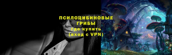 сатива Костерёво
