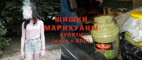сатива Костерёво