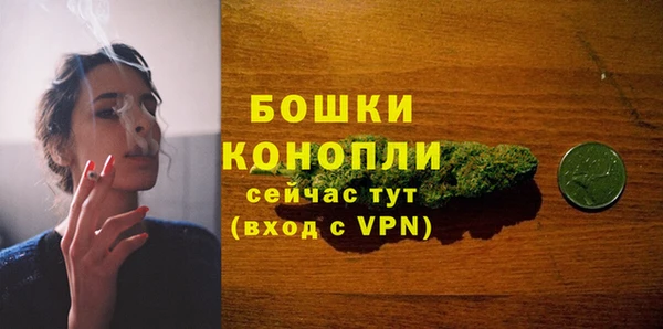 сатива Костерёво