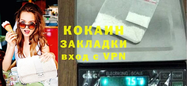 сатива Костерёво