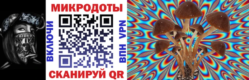 Галлюциногенные грибы Cubensis  Купить закладки  Котово 